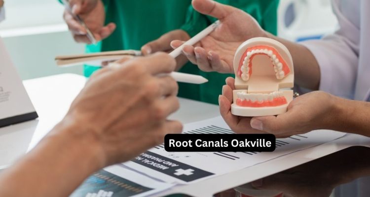 Root Canals Oakville