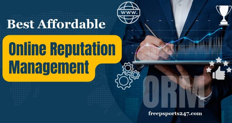 Best Affordable Online Reputation Management Company