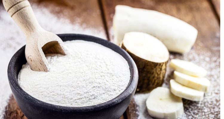 Cassava Starch Market