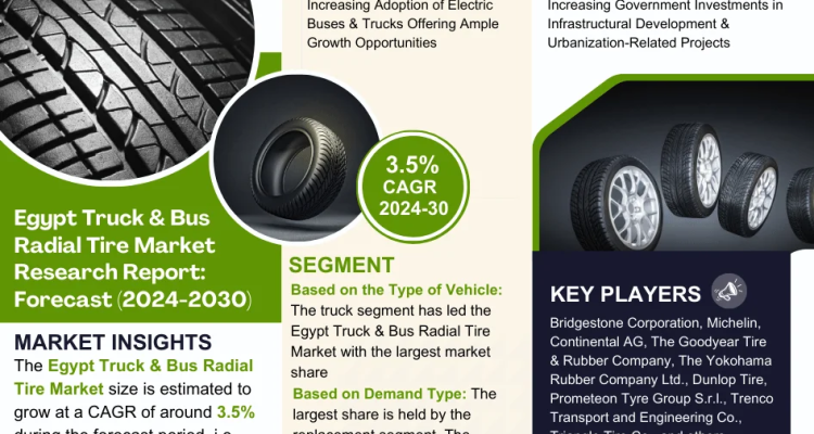 Egypt Truck & Bus Radial Tire Market Research Report Forecast (2024-2030)