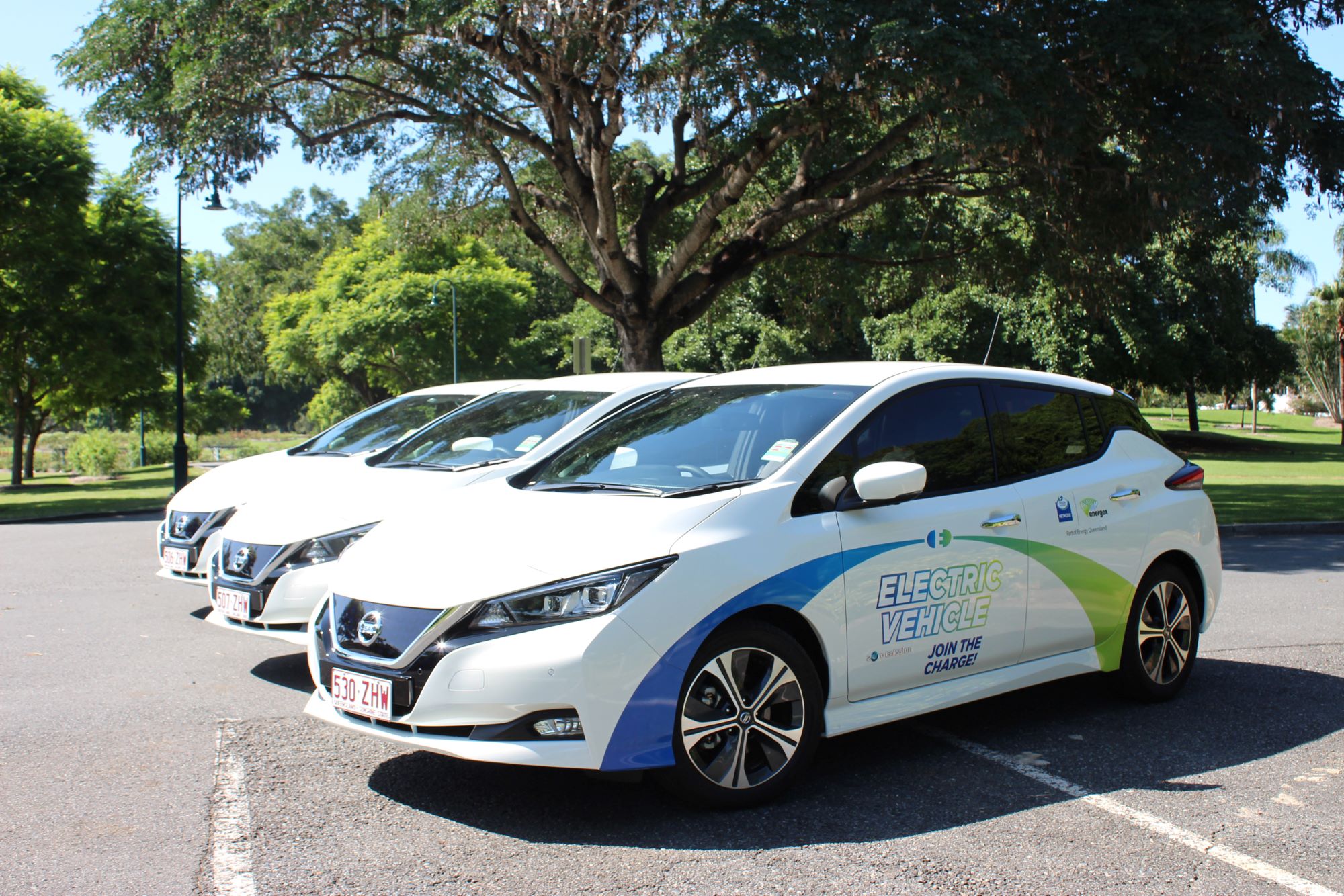 Electric-vehicle-cars-lined-up