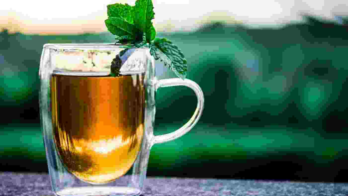 Global Instant Tea Premix Market