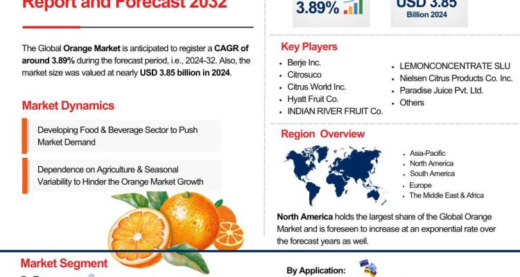 Global Orange Market Report and Forecast 2032