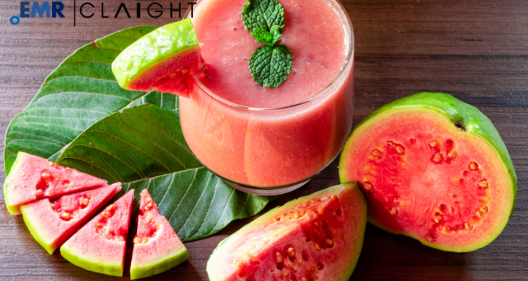 Guava Puree Market Growth