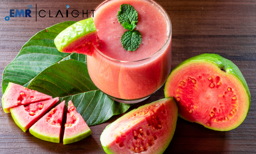 Guava Puree Market Growth