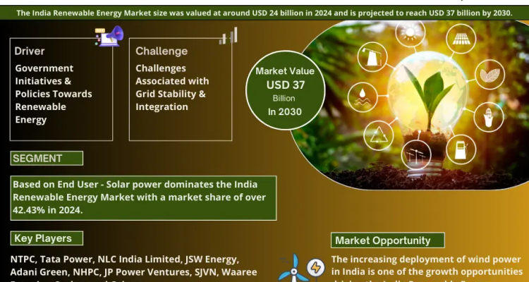 India Renewable Energy Market Research Report Forecast (2025-2030)