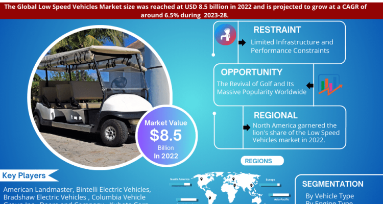 Low Speed Vehicles Market