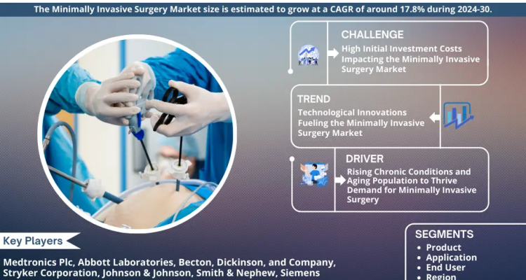 Minimally Invasive Surgery Market