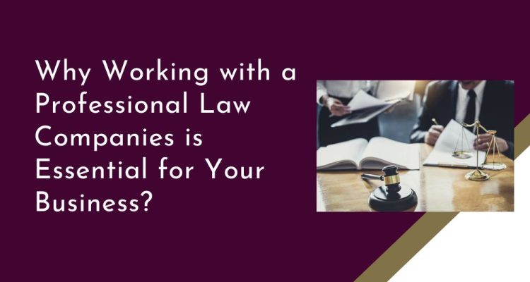 Why Working with a Professional Law Companies is Essential for Your Business