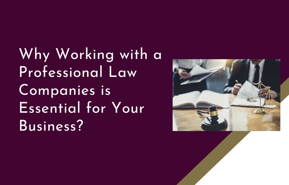 Why Working with a Professional Law Companies is Essential for Your Business