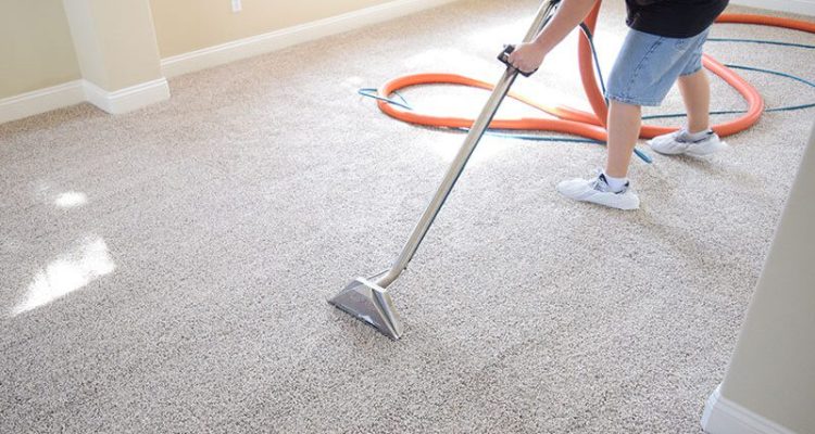 carpet-cleaning-adelaide-800x450 (1)