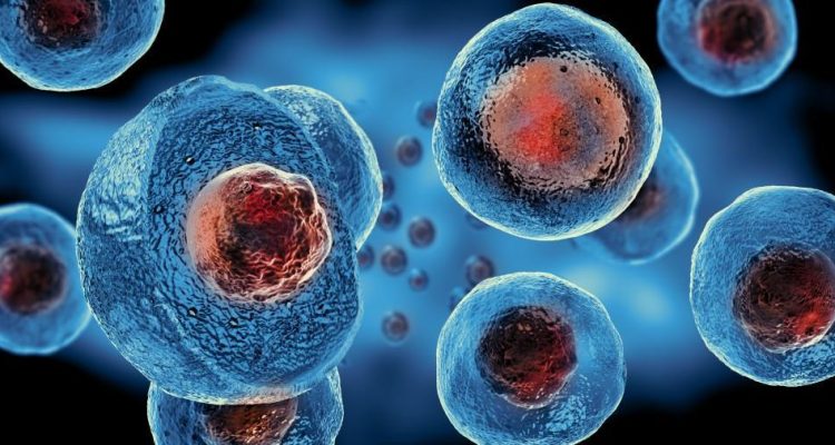 Regenerative Stem Cell Tharapy by Medicine