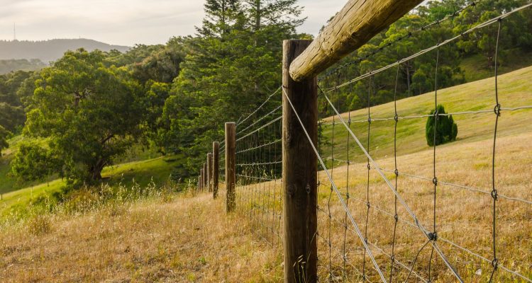 agricultural_fencing