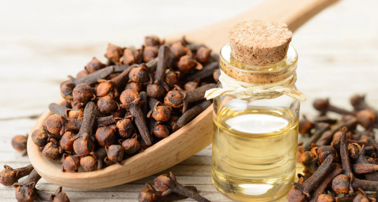 clove oil