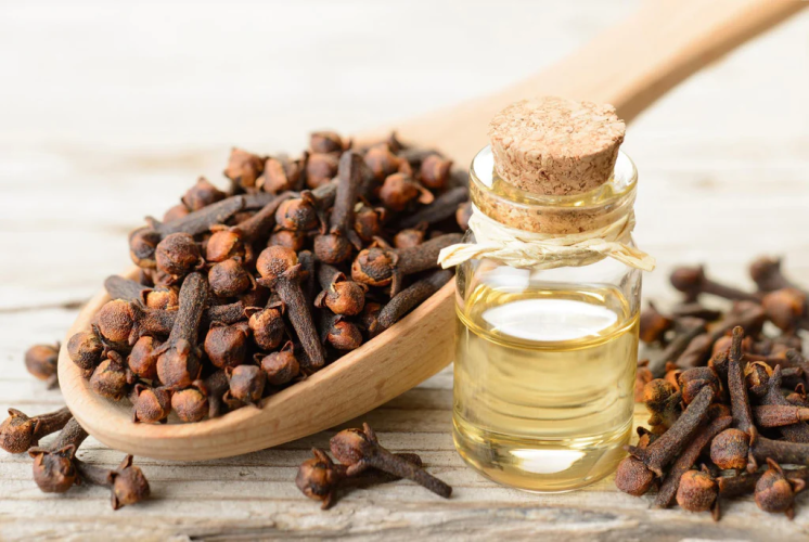 clove oil