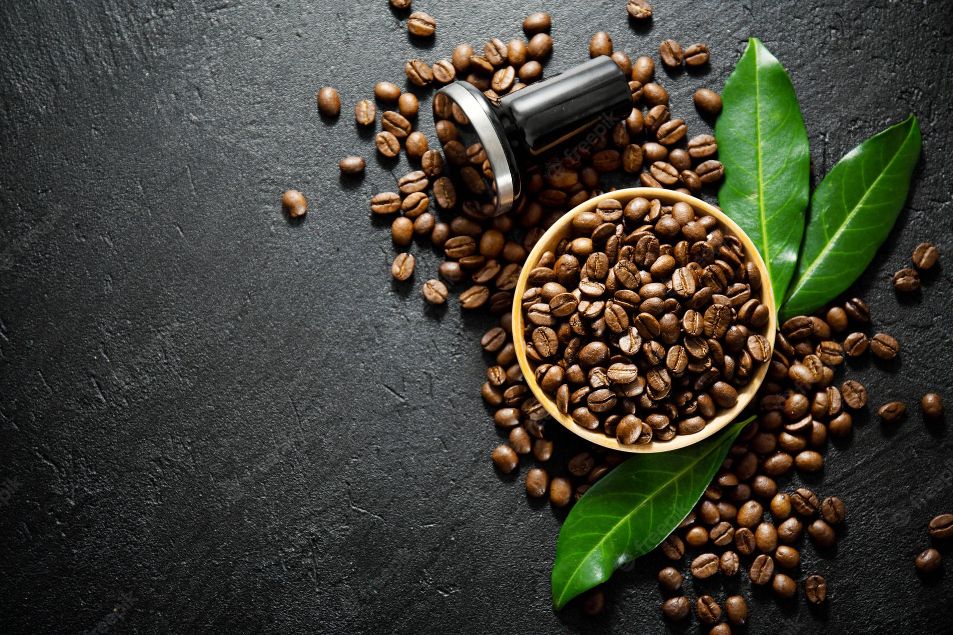 Coffee Beans suppliers