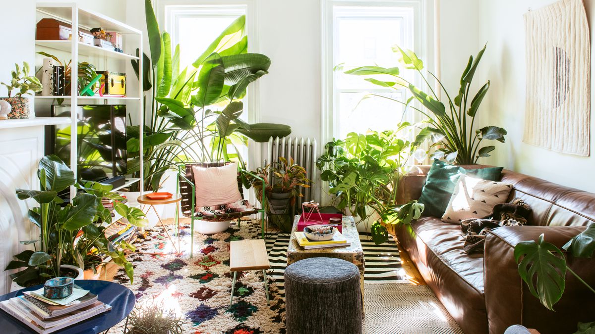 indoor plant decor