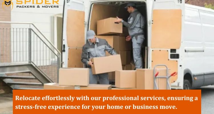 professional moving services