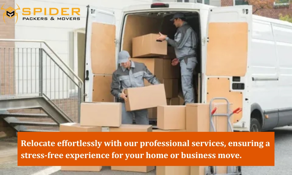 professional moving services